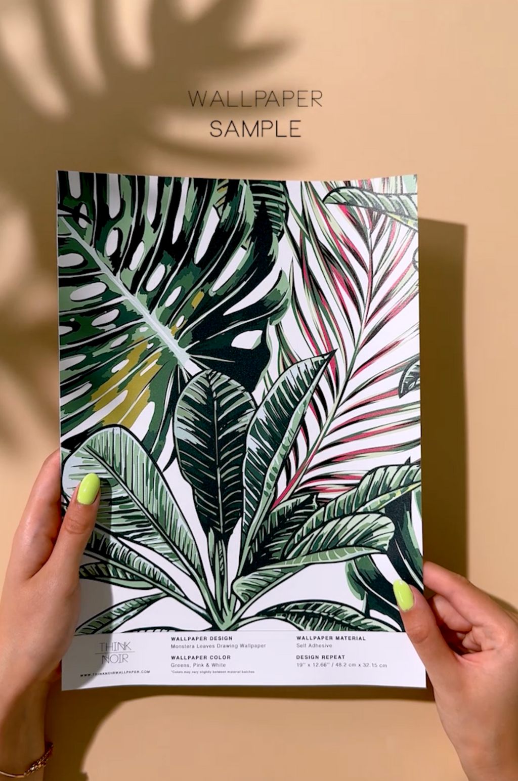 Monstera Leaves Drawing Wallpaper
